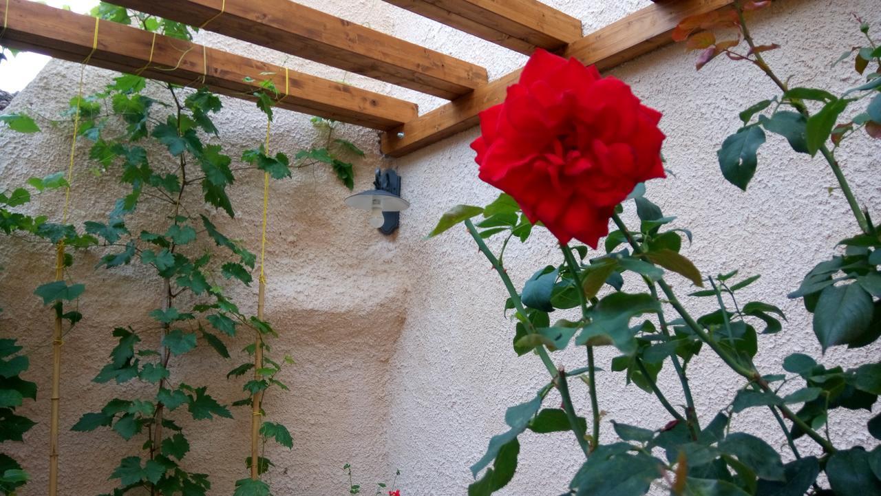 B&B A Casa Di Nonna Massa d'Albe Eksteriør bilde